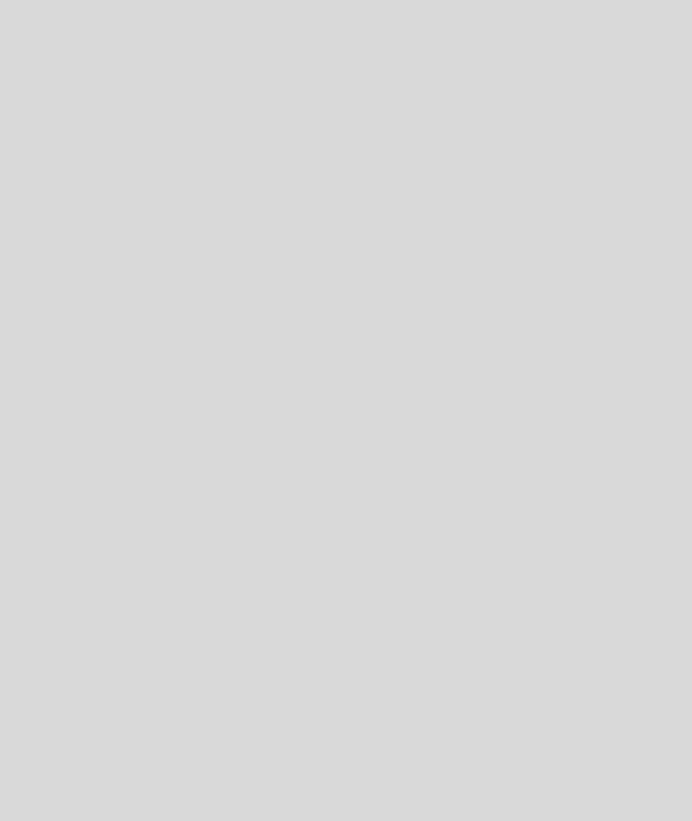 Государственная Третьяковская галерея, Москва
«Дважды стертый де Кунинг», 2000
акрил/холст. 300 x 240 x 8 см