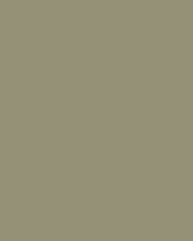 Неизвестный художник. Портрет Петра-Симона Палласа (фрагмент). 1949. Музей истории Дальнего Востока им. В.К. Арсеньева, Владивосток