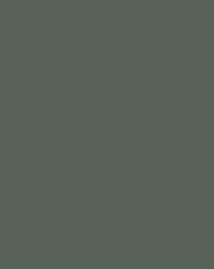 Иван Шишкин. Вечер (фрагмент). 1892. Донецкий областной художественный музей, Донецк, Украина