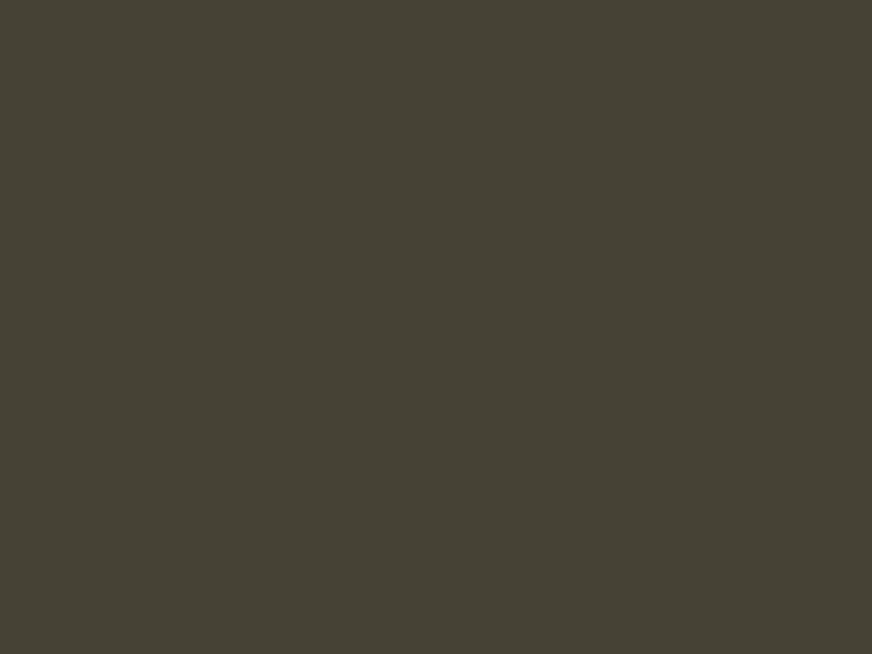 Аким Карнеев. Крестины. 1860-е. Иркутский областной художественный музей им. В.П. Сукачева, Иркутск