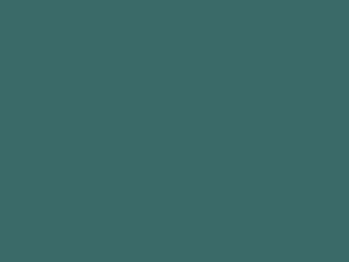 Лев Лагорио. Потопление катерами парохода «Великий князь Константин» турецкого парохода «Интибах» на Батумском рейде в ночь на 14 января 1878 года (фрагмент). 1880. Центральный военно-морской музей, Санкт-Петербург