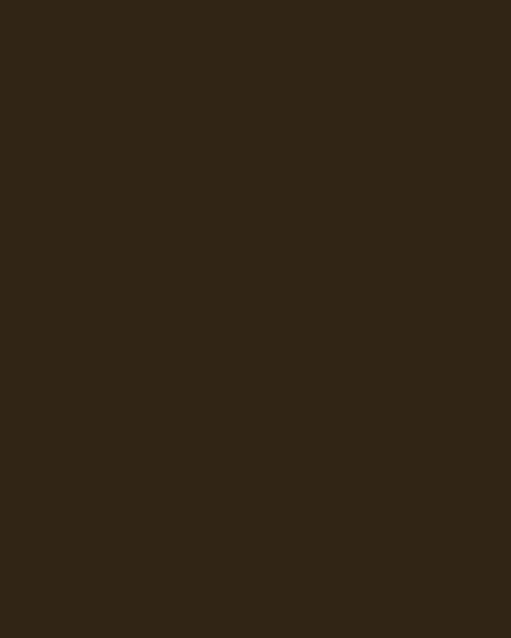 Иван Крамской. Портрет Михаила Салтыкова-Щедрина (фрагмент). 1879. Государственная Третьяковская галерея, Москва
