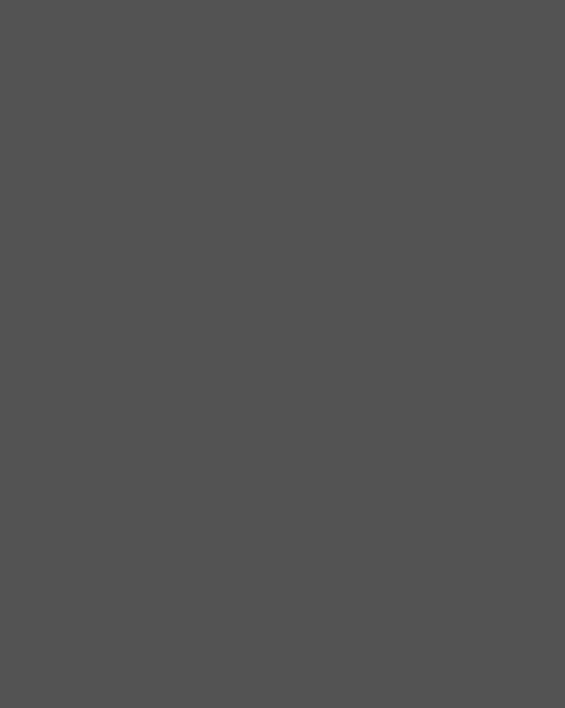 Фирс Журавлев. Извозчик на постоялом дворе (фрагмент). 1865. Ивановский областной художественный музей, Иваново