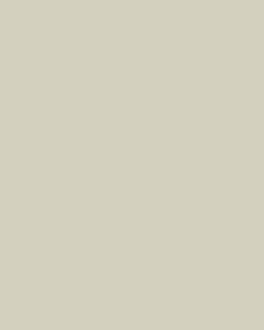 Жане-Ланж. Мария Тальони в балете «Сильфида». 1830-е годы. Санкт-Петербургский государственный музей театрального и музыкального искусства, Санкт-Петербург