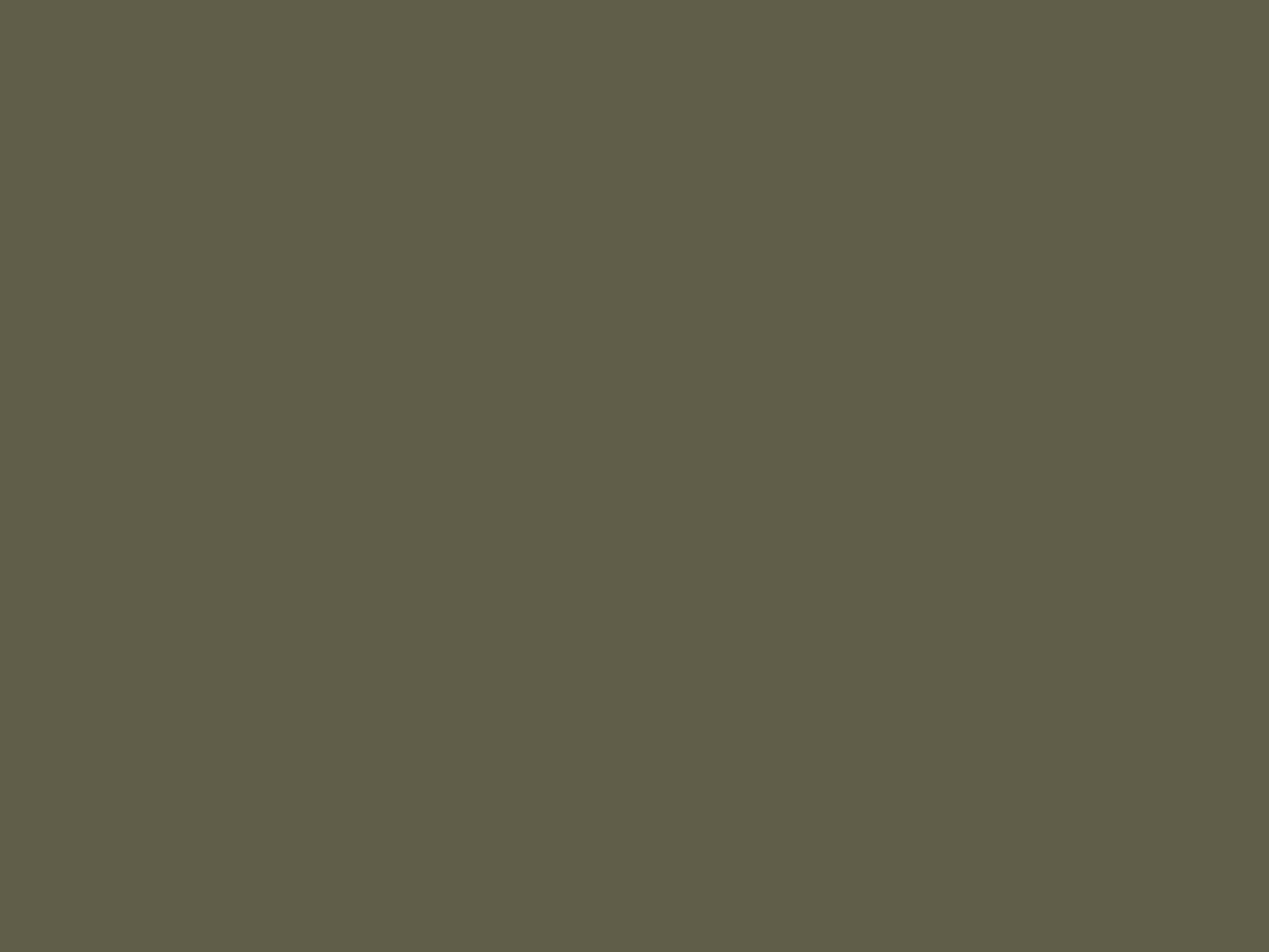 Иван Шишкин. Утро в сосновом лесу (фрагмент). 1889. Государственная Третьяковская галерея, Москва